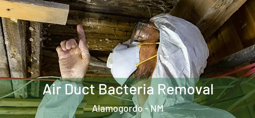  Air Duct Bacteria Removal Alamogordo - NM