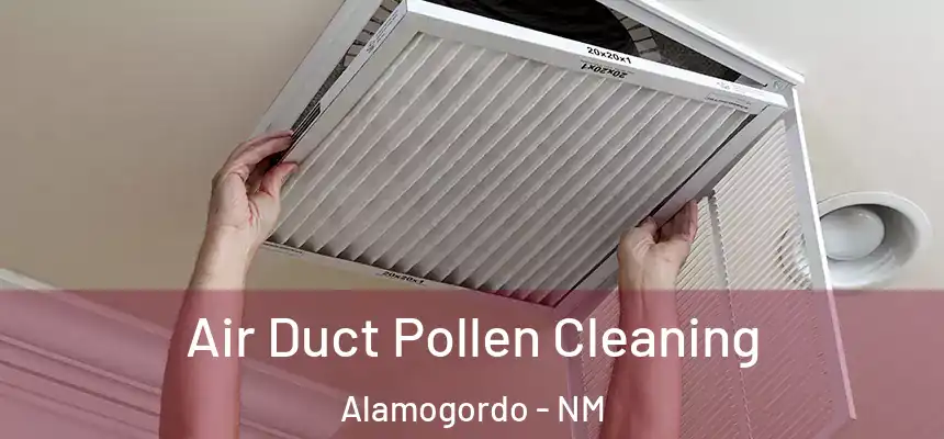  Air Duct Pollen Cleaning Alamogordo - NM