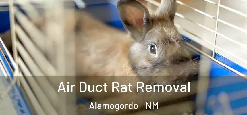  Air Duct Rat Removal Alamogordo - NM