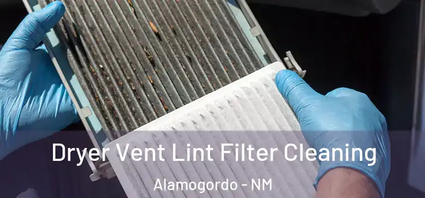  Dryer Vent Lint Filter Cleaning Alamogordo - NM