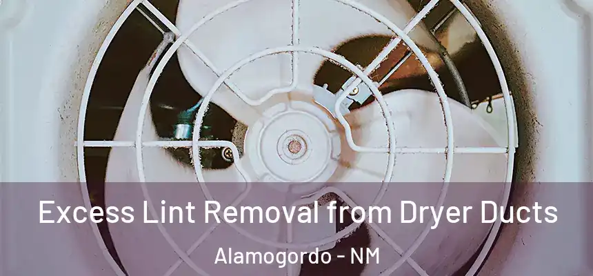 Excess Lint Removal from Dryer Ducts Alamogordo - NM