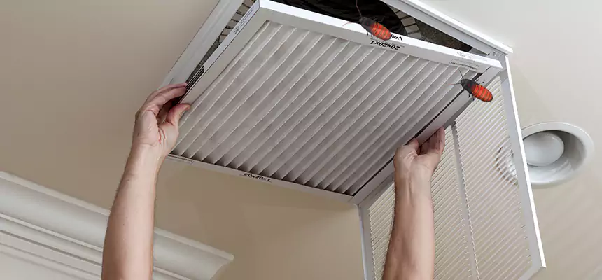 Preventive Cockroach-Proofing for Ducts in Alamogordo