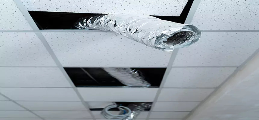 Affordable HVAC Sanitizing After Pest Removal in Alamogordo