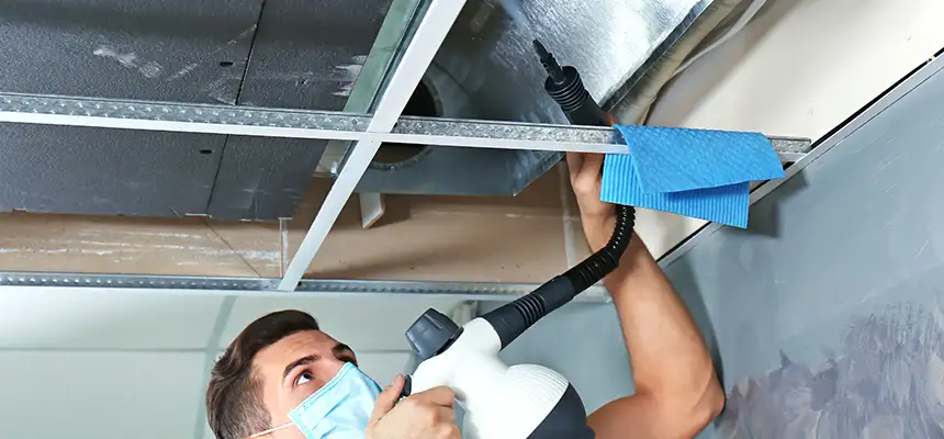 Our Air Duct Rodent Removal Services in Alamogordo, NM