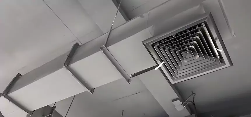 Our Pest Removal From Ducts Services in Alamogordo, NM