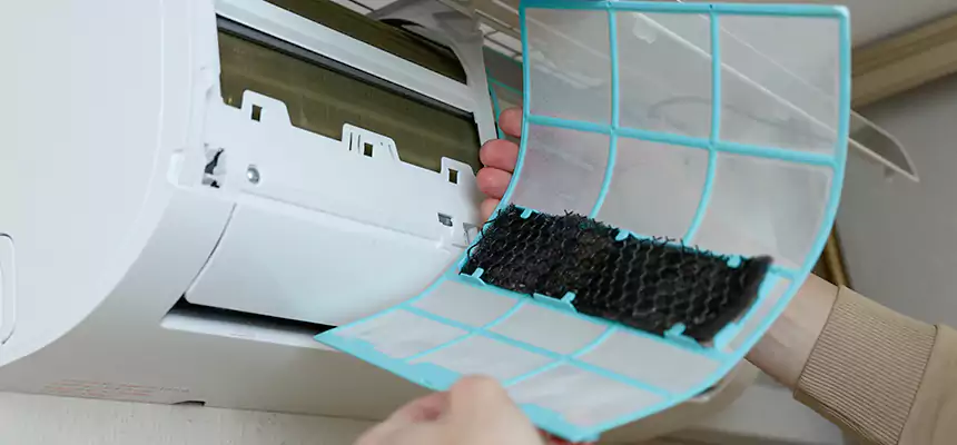 Gentle Ductwork Odor-Control Pet Dander Duct Cleaning in Alamogordo, NM