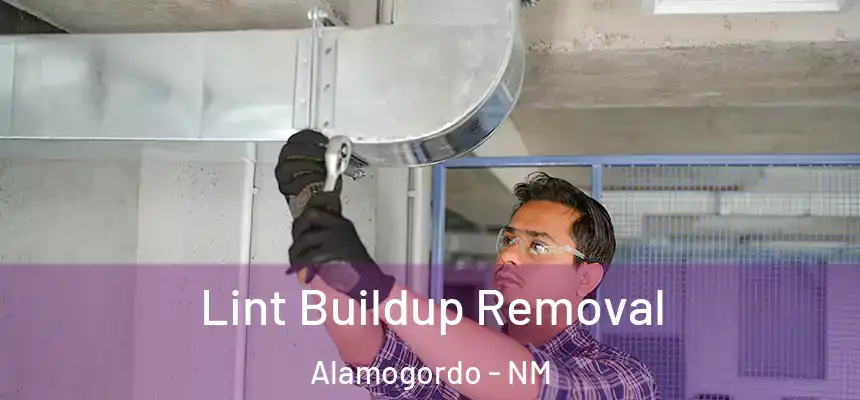  Lint Buildup Removal Alamogordo - NM