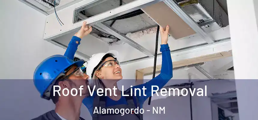  Roof Vent Lint Removal Alamogordo - NM