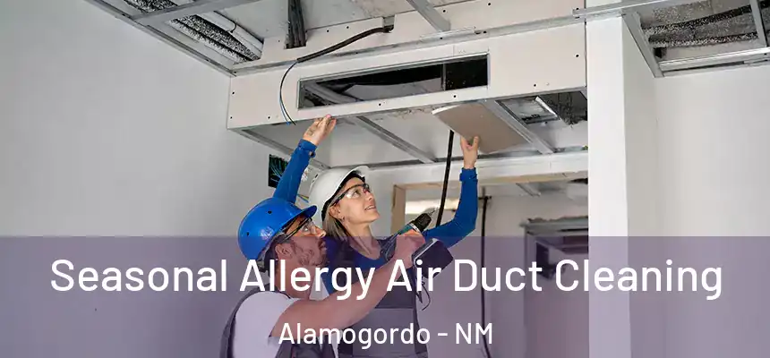  Seasonal Allergy Air Duct Cleaning Alamogordo - NM