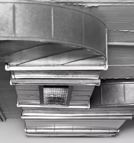 Professional Air Duct Pest Removal in Alamogordo, NM