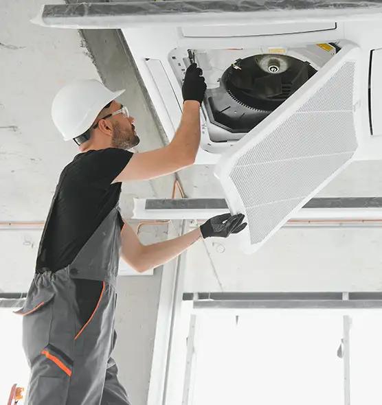 About Air Duct Rodent Removal in Alamogordo, NM