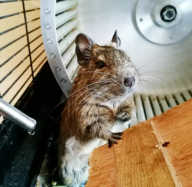 Why Homeowners & Businesses Trust Us Alamogordo, NM